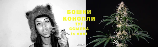 гидра Белокуриха