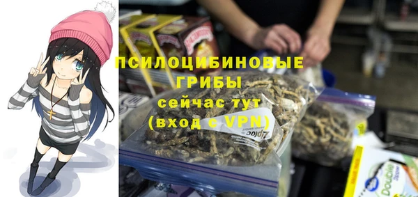соль ск Богданович