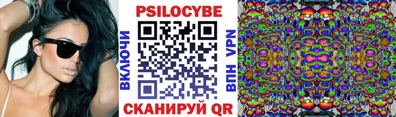закладка  Троицк  Галлюциногенные грибы прущие грибы 